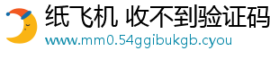 纸飞机 收不到验证码